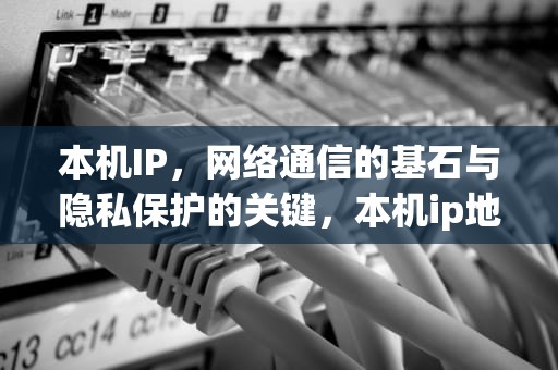 本机IP，网络通信的基石与隐私保护的关键，本机ip地址查询
