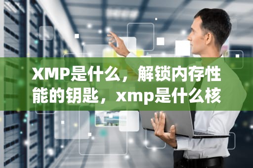 XMP是什么，解锁内存性能的钥匙，xmp是什么核苷酸