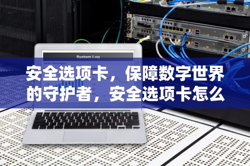 安全选项卡，保障数字世界的守护者，安全选项卡怎么获得权限