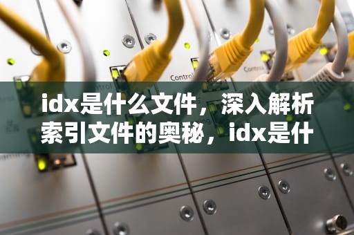 idx是什么文件，深入解析索引文件的奥秘，idx是什么文件格式