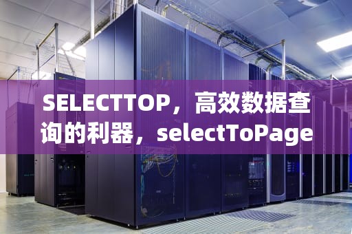 SELECTTOP，高效数据查询的利器，selectToPage