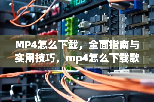 MP4怎么下载，全面指南与实用技巧，mp4怎么下载歌曲