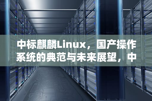 中标麒麟Linux，国产操作系统的典范与未来展望，中标麒麟linux系统
