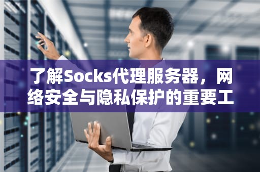 了解Socks代理服务器，网络安全与隐私保护的重要工具，socks代理服务器地址