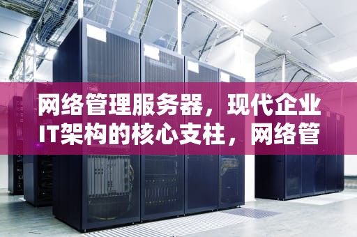 网络管理服务器，现代企业IT架构的核心支柱，网络管理服务器是什么