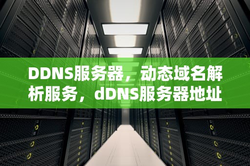 DDNS服务器，动态域名解析服务，dDNS服务器地址是什么