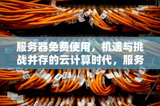 服务器免费使用，机遇与挑战并存的云计算时代，服务器免费使用的软件