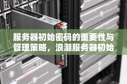 服务器初始密码的重要性与管理策略，浪潮服务器初始密码