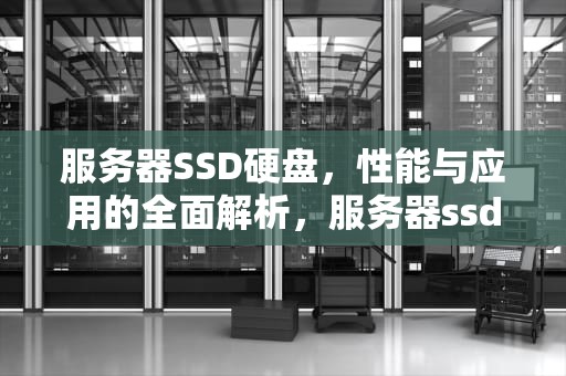 服务器SSD硬盘，性能与应用的全面解析，服务器ssd硬盘容量