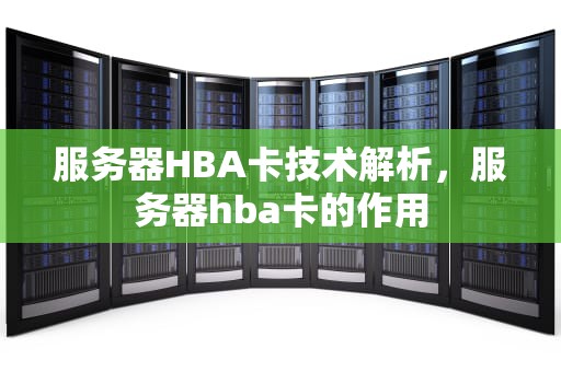 服务器HBA卡技术解析，服务器hba卡的作用