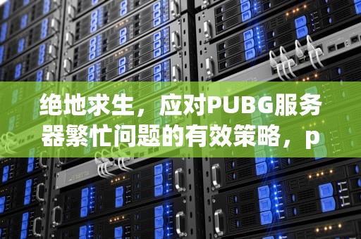 绝地求生，应对PUBG服务器繁忙问题的有效策略，pubg服务器繁忙怎么办