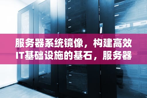 服务器系统镜像，构建高效IT基础设施的基石，服务器系统镜像怎么选
