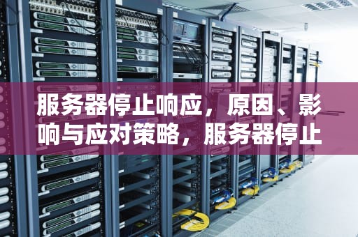 服务器停止响应，原因、影响与应对策略，服务器停止响应是什么意思?