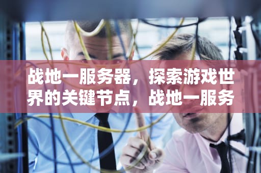 战地一服务器，探索游戏世界的关键节点，战地一服务器多少钱