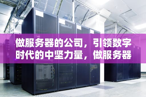 做服务器的公司，引领数字时代的中坚力量，做服务器的公司排名