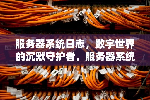 服务器系统日志，数字世界的沉默守护者，服务器系统日志在哪里看
