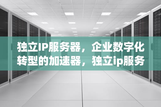 独立IP服务器，企业数字化转型的加速器，独立ip服务器购买