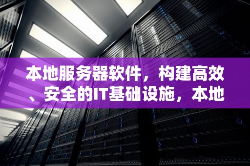 本地服务器软件，构建高效、安全的IT基础设施，本地服务器软件有哪些