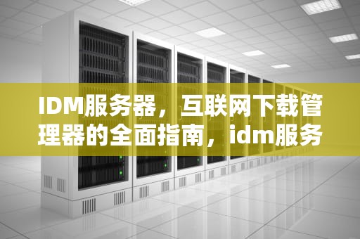 IDM服务器，互联网下载管理器的全面指南，idm服务器显示你没有权限下载此文件