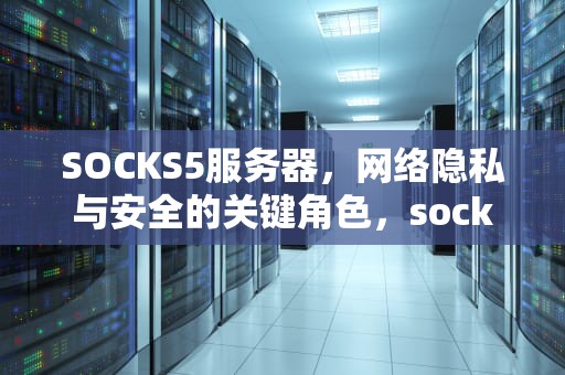 SOCKS5服务器，网络隐私与安全的关键角色，socks5服务器怎么搭建