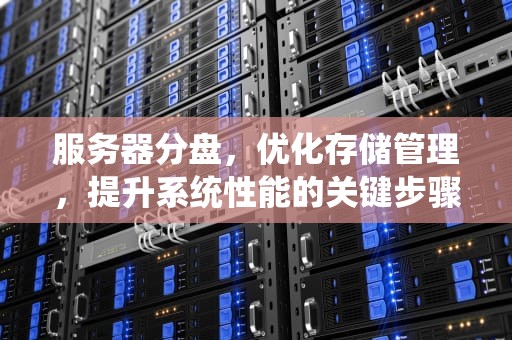 服务器分盘，优化存储管理，提升系统性能的关键步骤，服务器硬盘和普通硬盘区别