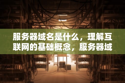 服务器域名是什么，理解互联网的基础概念，服务器域名是什么意思举例说明