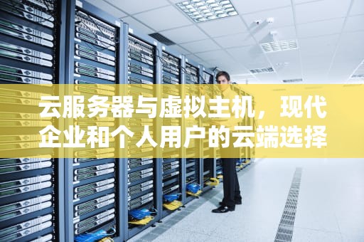 云服务器与虚拟主机，现代企业和个人用户的云端选择，云服务器虚拟主机接入平台批量备案域名有哪些