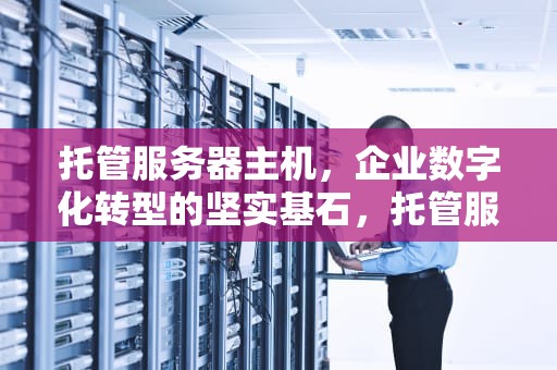 托管服务器主机，企业数字化转型的坚实基石，托管服务器主机是什么
