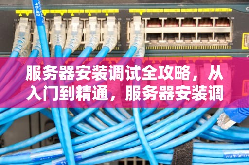 服务器安装调试全攻略，从入门到精通，服务器安装调试费用