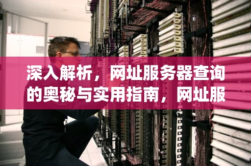 深入解析，网址服务器查询的奥秘与实用指南，网址服务器查询ip