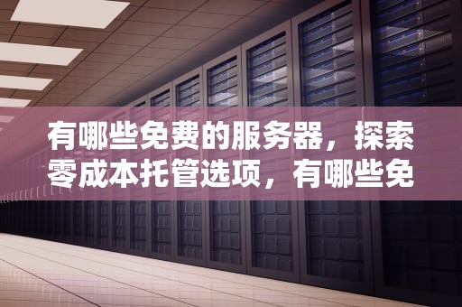 有哪些免费的服务器，探索零成本托管选项，有哪些免费的服务器软件