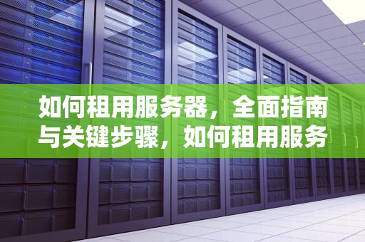 如何租用服务器，全面指南与关键步骤，如何租用服务器跑程序