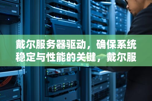 戴尔服务器驱动，确保系统稳定与性能的关键，戴尔服务器驱动安装工具