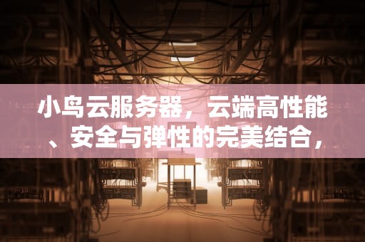 小鸟云服务器，云端高性能、安全与弹性的完美结合，小鸟云服务器官网