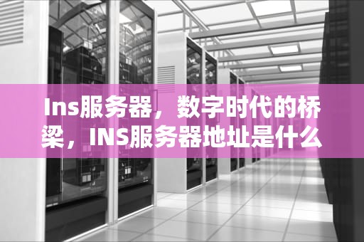 Ins服务器，数字时代的桥梁，INS服务器地址是什么