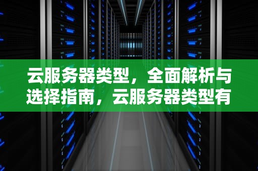 云服务器类型，全面解析与选择指南，云服务器类型有哪些
