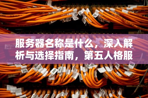 服务器名称是什么，深入解析与选择指南，第五人格服务器名称是什么