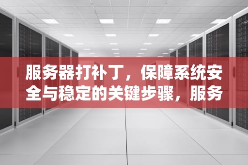 服务器打补丁，保障系统安全与稳定的关键步骤，服务器打补丁怎么打