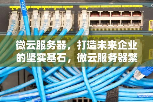 微云服务器，打造未来企业的坚实基石，微云服务器繁忙怎么解决