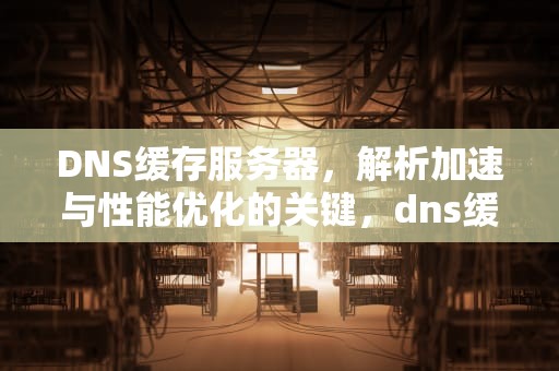DNS缓存服务器，解析加速与性能优化的关键，dns缓存服务器搭建