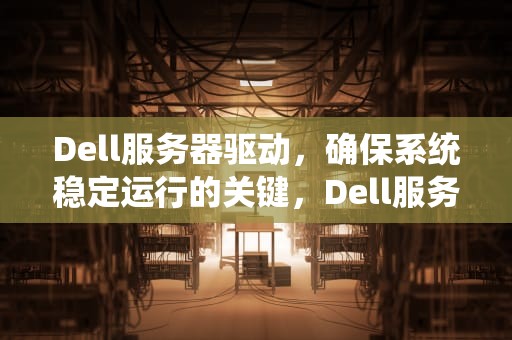 Dell服务器驱动，确保系统稳定运行的关键，Dell服务器驱动自动安装