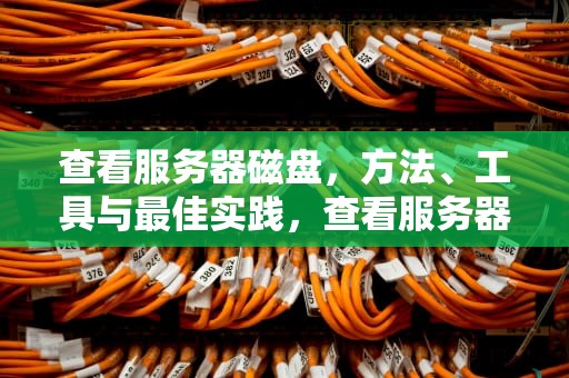查看服务器磁盘，方法、工具与最佳实践，查看服务器磁盘空间命令