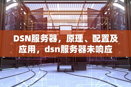 DSN服务器，原理、配置及应用，dsn服务器未响应