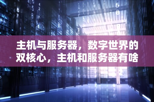 主机与服务器，数字世界的双核心，主机和服务器有啥区别