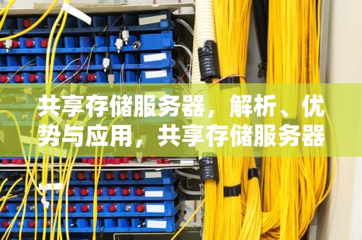 共享存储服务器，解析、优势与应用，共享存储服务器哪家好用