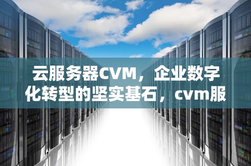 云服务器CVM，企业数字化转型的坚实基石，cvm服务器是啥