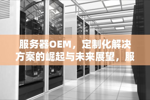 服务器OEM，定制化解决方案的崛起与未来展望，服务器oem厂商有哪些