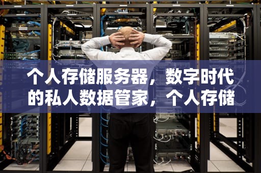 个人存储服务器，数字时代的私人数据管家，个人存储服务器搭建