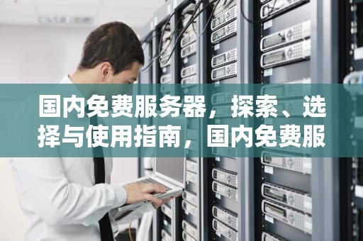 国内免费服务器，探索、选择与使用指南，国内免费服务器永久使用