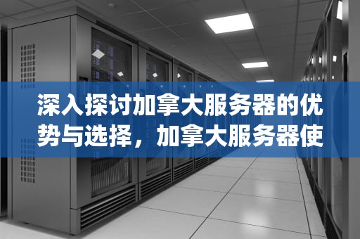 深入探讨加拿大服务器的优势与选择，加拿大服务器使用vsping工具